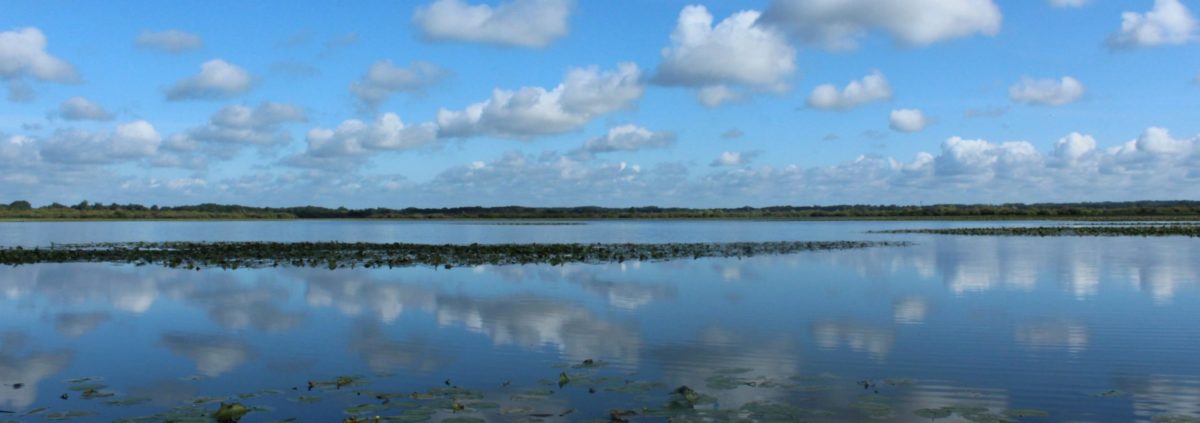 Miroir d'eau sur le lac de Grand-Lieu avec la SNPN