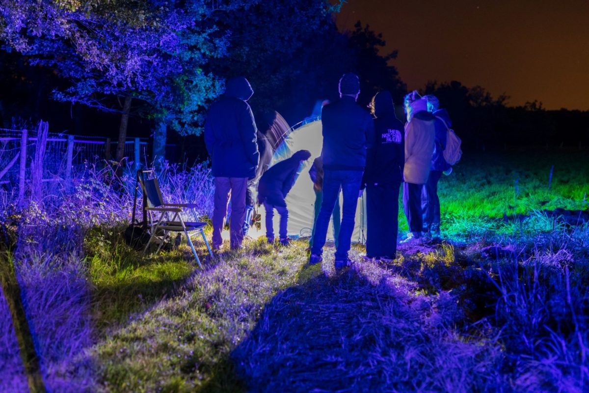 La SNPN et La Maison du Lac de Grand-Lieu coordonnent l'organisation du Jour de la Nuit