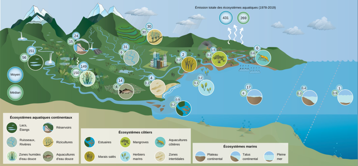 Émissions de méthane par les écosystèmes aquatiques