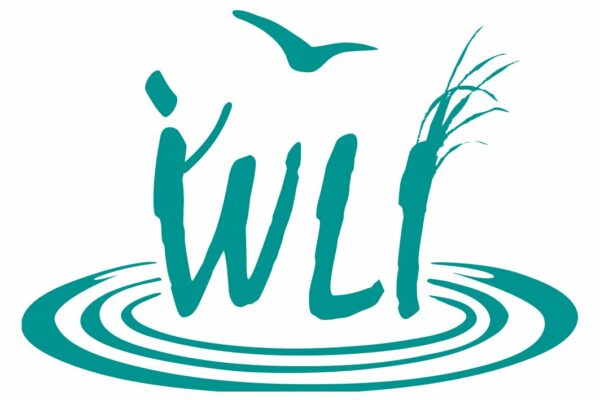 Wetland Links International