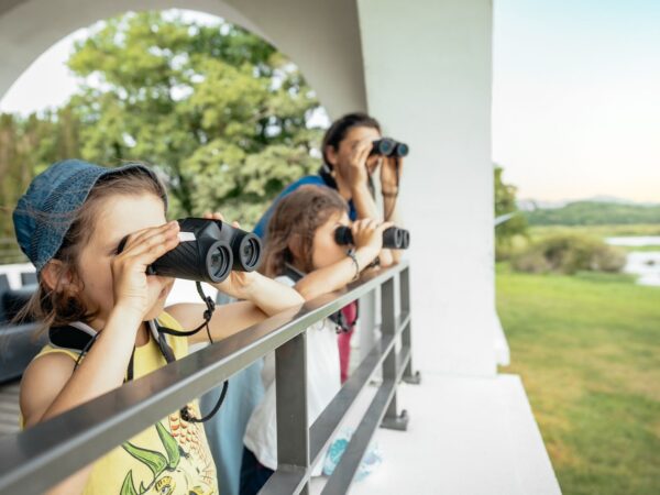 Vacances été : activité nature pour une sortie famille avec enfants de 6 à 10 ans