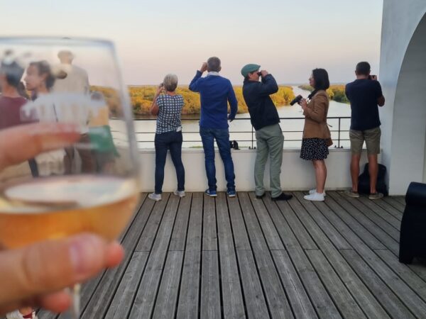 Soirée du Lac : une soirée dégustation originale près de Nantes, devant le lac de Grand-Lieu durant l'été