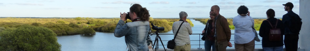 Sortie nature en juin au lac de Grand-Lieu
