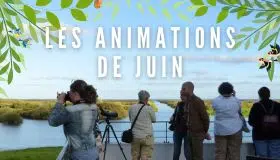 Sortie nature en juin au lac de Grand-Lieu