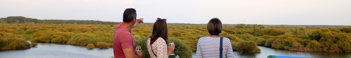 Des personnes observent le lac de Grand-Lieu en été depuis le Pavillon