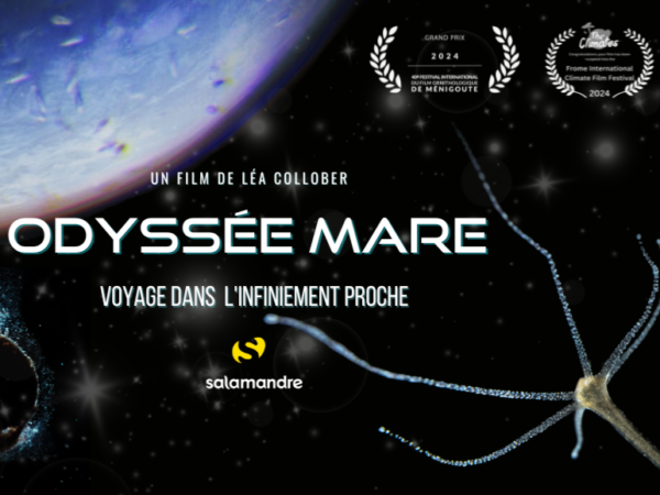 Odyssée Mare | film et rencontre à La Maison du Lac de Grand-Lieu