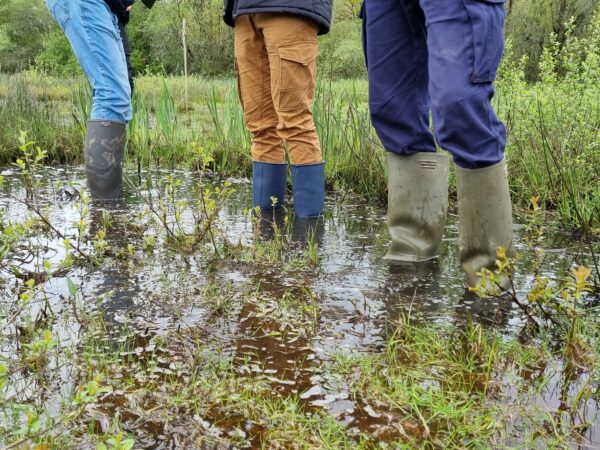 Mais qu'y a-t-il dans l'eau ? - sortie nature enfants 6/10 ans