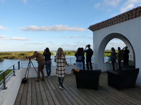 Grand-Lieu gourmand : une soirée dégustation originale près de Nantes, devant le lac de Grand-Lieu durant l'été