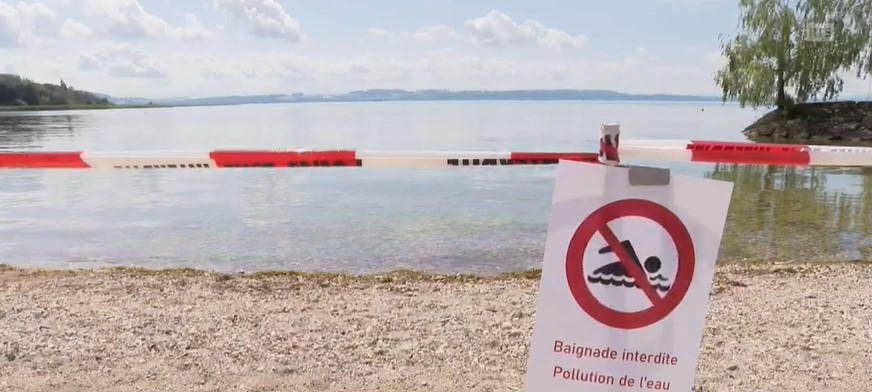 Panneau d'interdiction de baignade pour pollution de l'eau