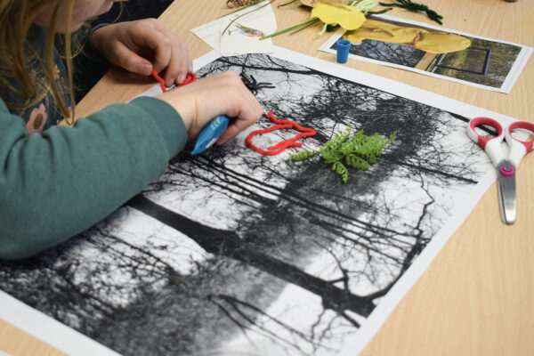 Atelier Artiste des zones humides