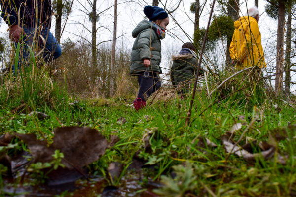 Visite Petits aventuriers des milieux humides
