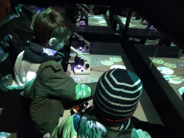 qu'y a-t-il dans l'eau