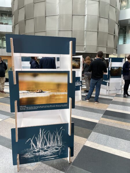 Exposition à la CCI Pays de la Loire