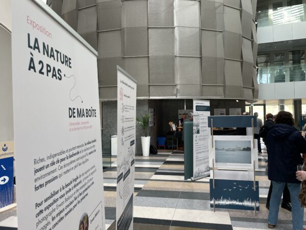 Exposition à la CCI Pays de la Loire - Janvier 2026